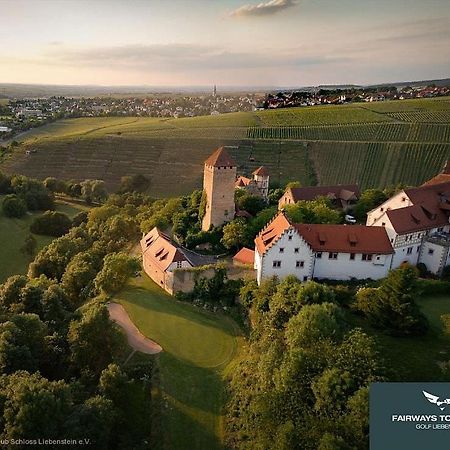 Neues Zimmerapartment Mit Bad Neckarwestheim Dış mekan fotoğraf